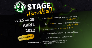 Stage handball de printemps