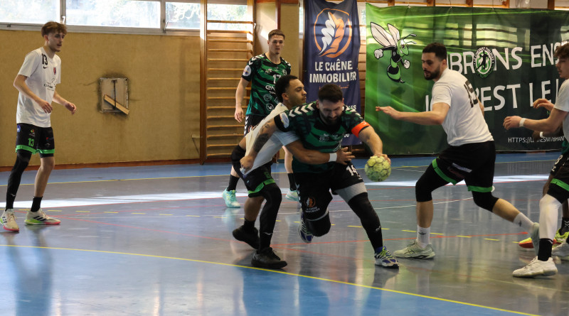 Les frelons Verts surclassent Lille Métropole sans réel panache : 33–29